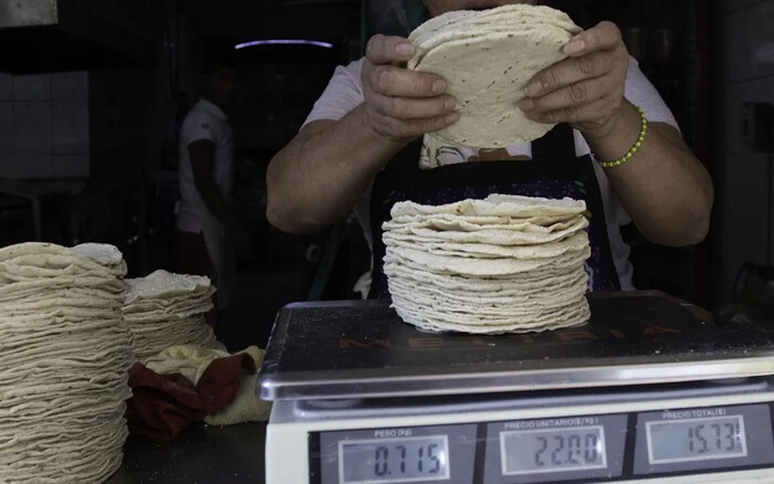 México promete bajar el precio de la tortilla en 10% y autosuficiencia en maíz y frijol