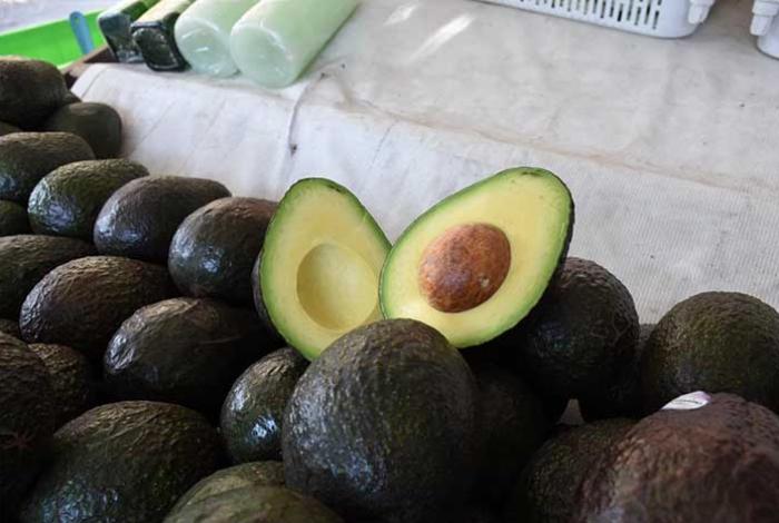 Michoacán cosechó 1 millón 462 mil toneladas de aguacate en la temporada 2025-2026