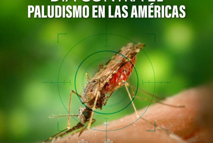 Michoacán cumple 21 años libre de paludismo: SSM