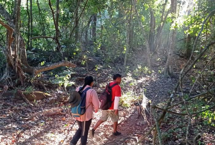 Michoacán: este verano explora en familia áreas naturales protegidas