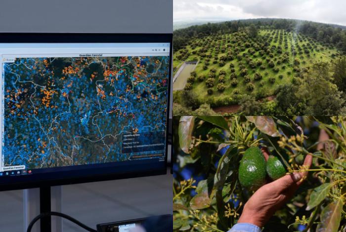 Michoacán expondrá avances del Guardián Forestal en Brasil: Secma