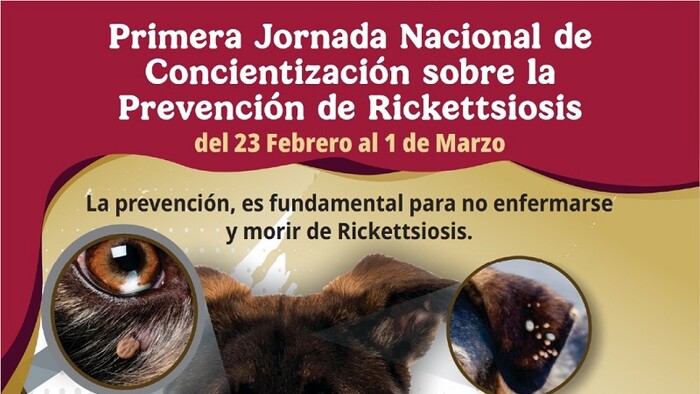 Michoacán se une a la Jornada Nacional contra la rickettsiosis