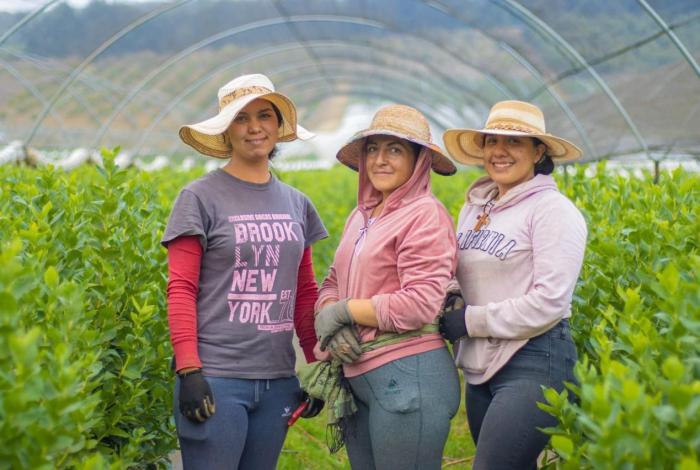 Michoacán, segundo lugar con más municipios de migrantes