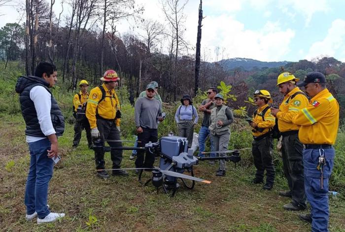 Noticias de Michoacán