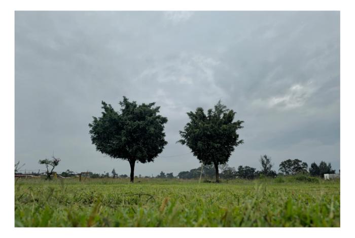 Miércoles fresco y húmedo en Morelia; inicia onda de calor en Michoacán