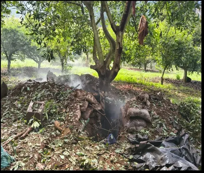 Militares destruyen narco campamento en Cotija