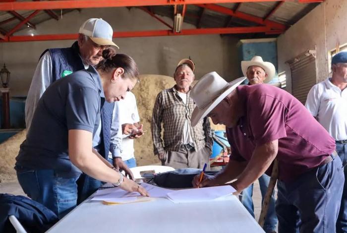 Mónica Valdez impulsa acciones para fortalecer la producción agrícola en Zacapu, entregan apoyos a productores