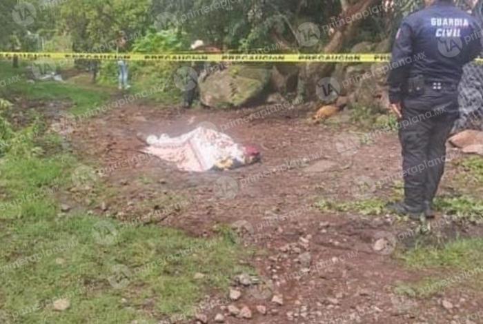 Mu3re Rafael mientras podaba un árbol en Puruándiro