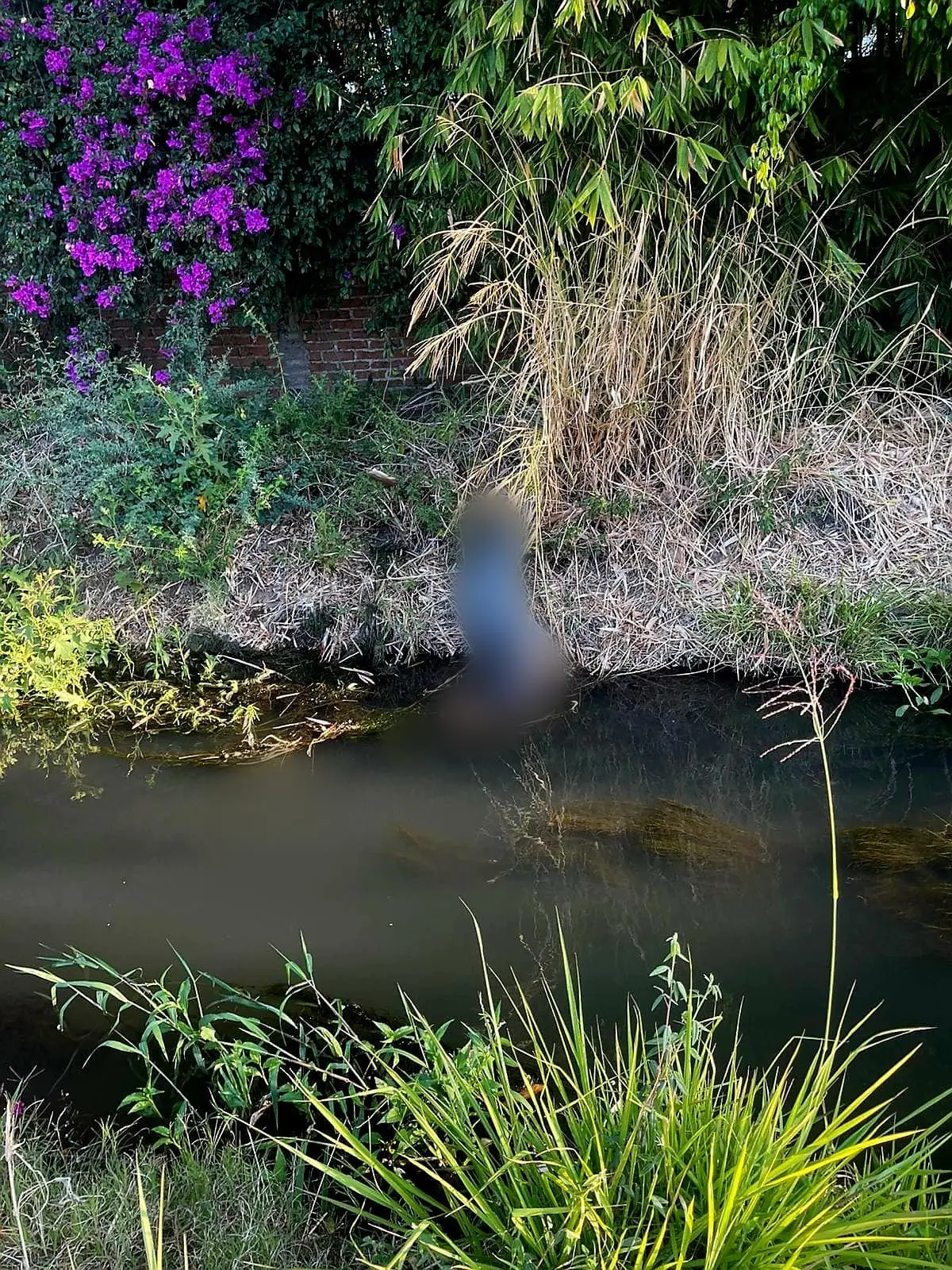 Muere electrocutado al tocar cables de alta tensión en el Río Duero