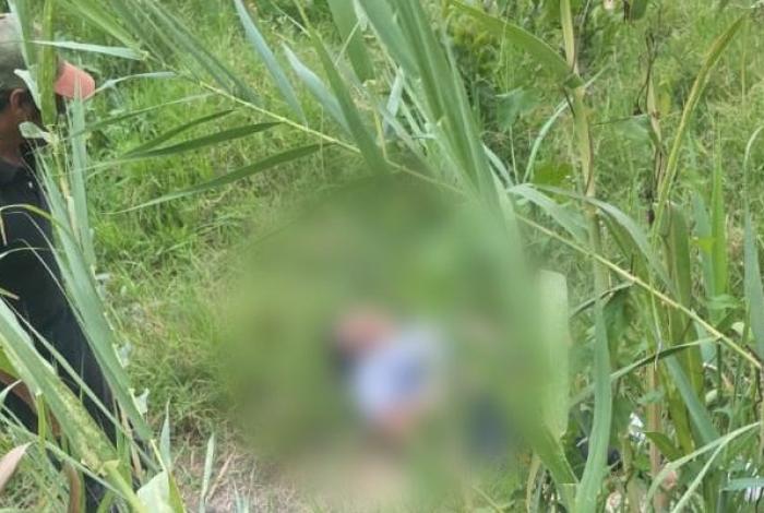 Mujer es atacada por jauría en Uruapan; terminó hospitalizada