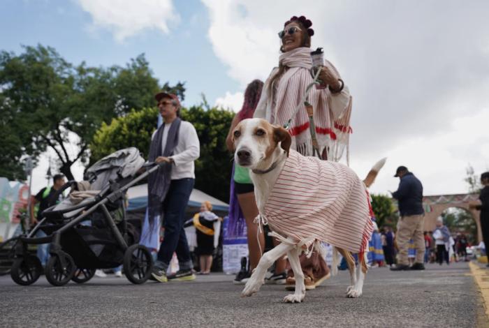 Mujeres caminan por el rebozo, en Morelia