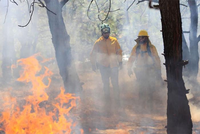 Municipios de Ario y Nuevo Urecho con el Gobierno estatal trabajan para sofocar incendio en bosques