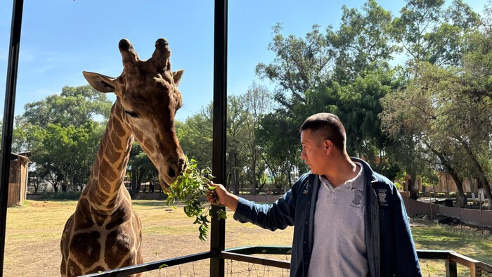 ‘Nacho’, el orgullo de ser cuidador en el Zoo de Morelia