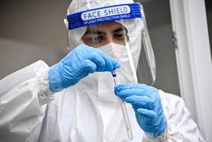 Nipah, claves de un virus emergente y sin tratamiento que mantiene en alerta a la India