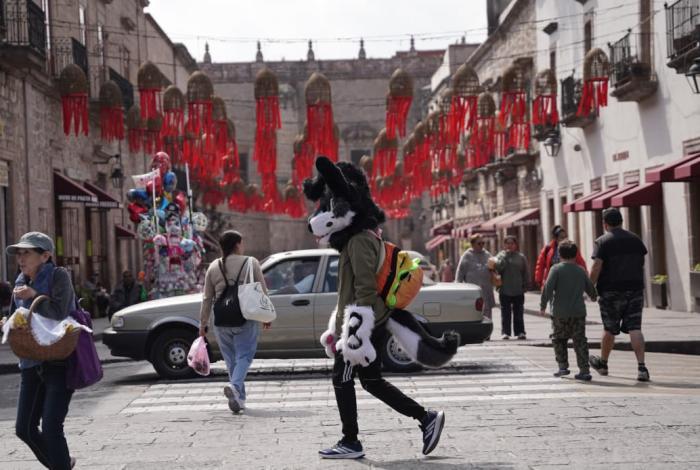 No hay casos de atención a therians en clínicas de Morelia: veterinario