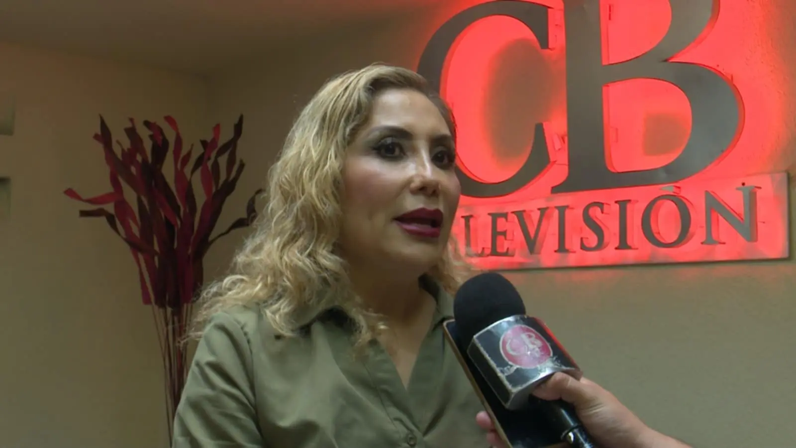 No hay pretexto para no castigar el maltrato animal; declara Minerva Bautista