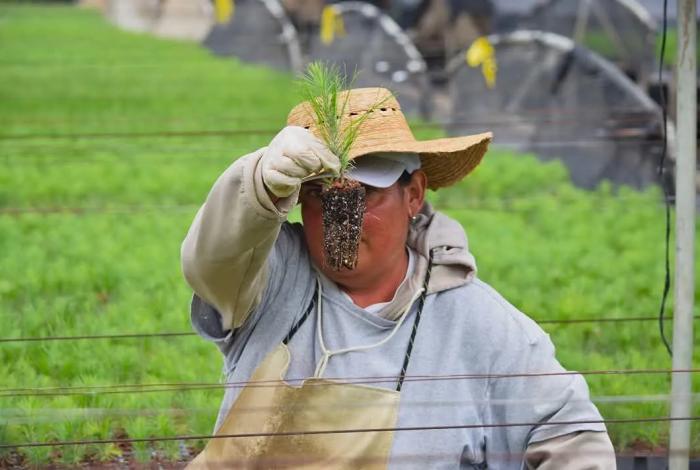 Noticias de Michoacán