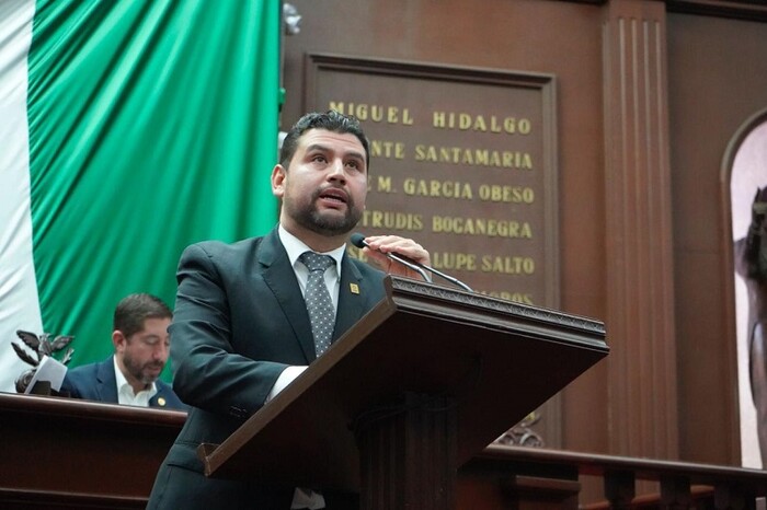 Octavio Ocampo propone marco seguro para mujeres lactantes y sus bebés