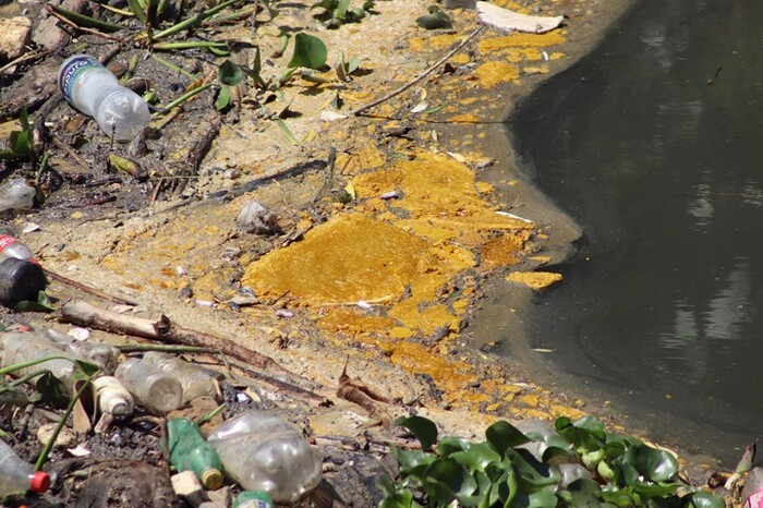 OOAPAS retira importante taponamiento en el Río Grande