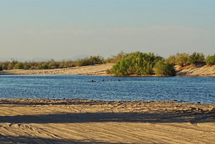 Actividad Económica