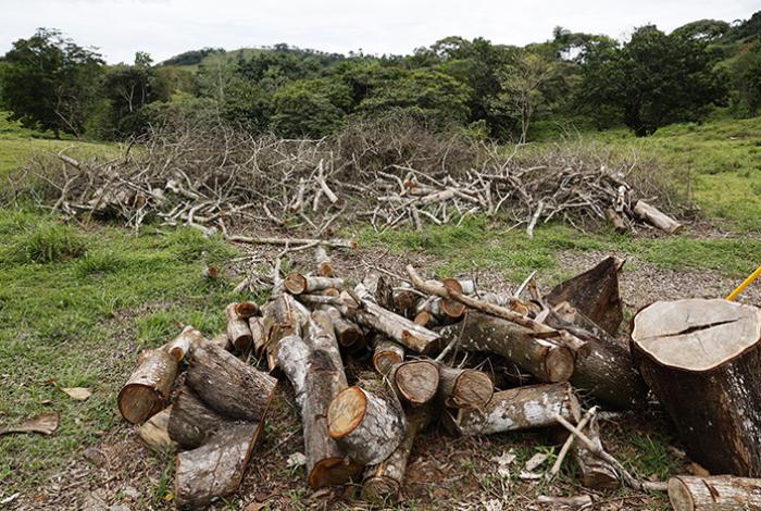 Países de Latinoamérica buscan impulsar la agricultura sin más deforestación