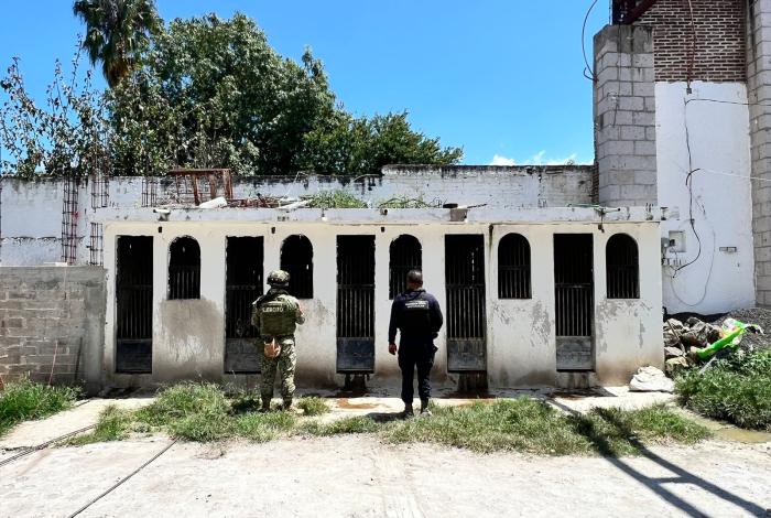 Participa SSP en aseguramiento de inmueble, 10 vehículos y animales exóticos