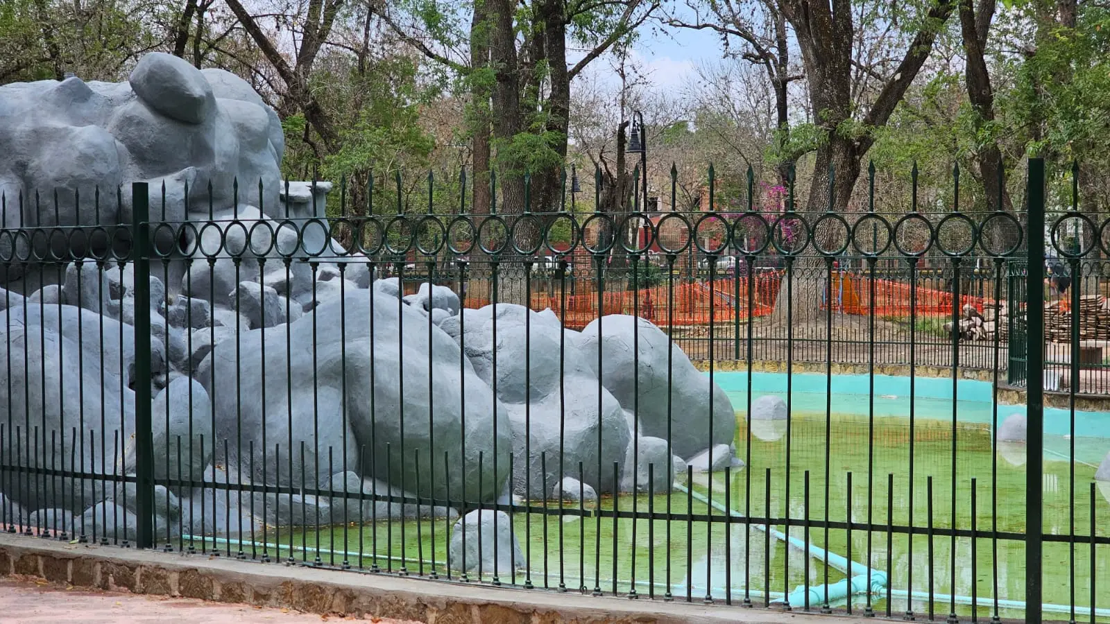 Patitos volverán pronto al Bosque Cuauhtémoc