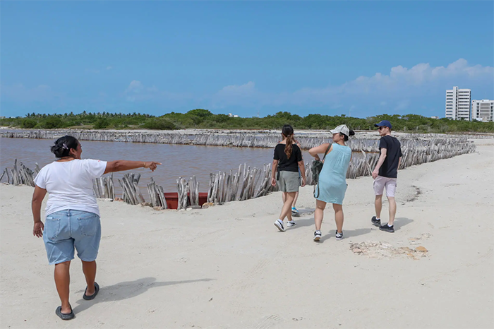 Peligran manglares y salinera prehispánica en Yucatán por plan de agua potable