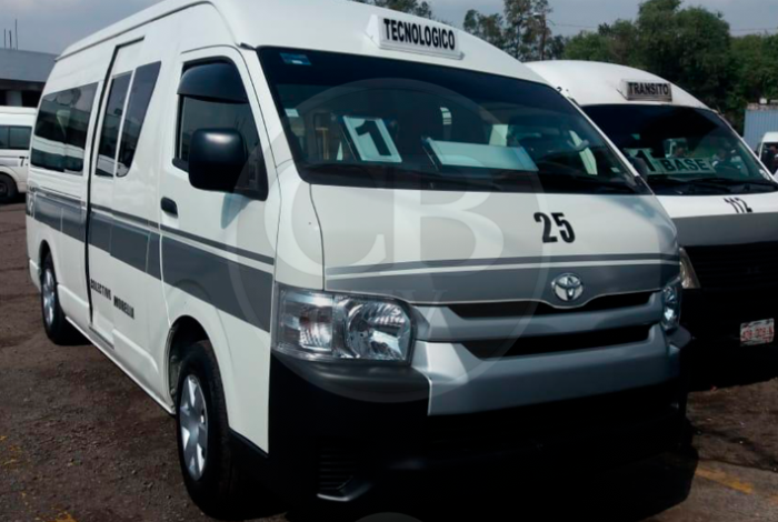 Permite ruta gris viajar con lomitos o michis