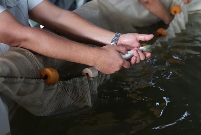 Noticias de Michoacán