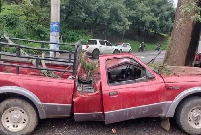 Pino cae sobre camioneta y deja cuatro lesionados