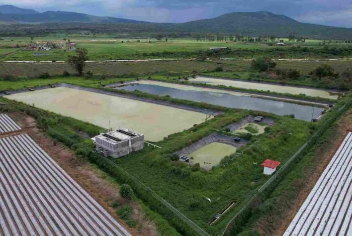 Plantas de tratamiento fortalecen cuidado ambiental y la salud pública en Michoacán: Ceac