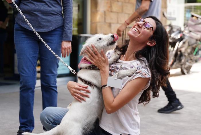🐾 Plaza Punto Ventura, un espacio para encontrar a tu compañero ideal