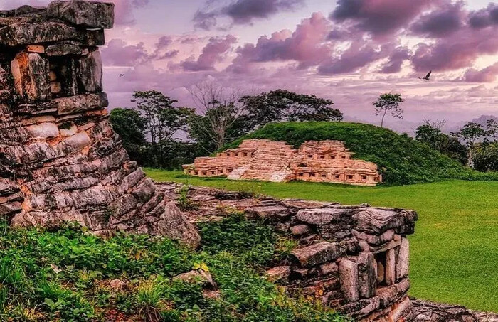 “Por accidente” descubren ciudad maya oculta por vegetación en Campeche, México