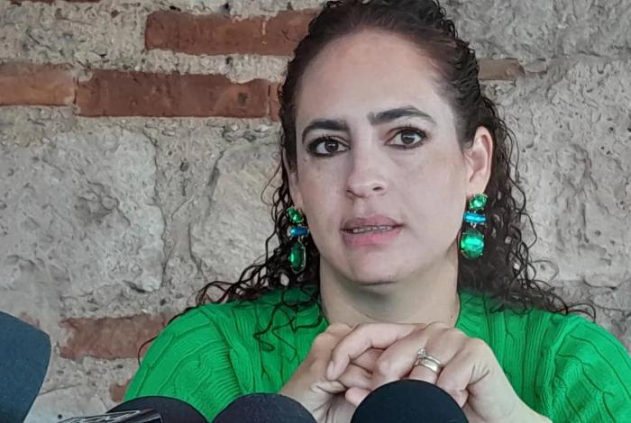 Por definir qué leyes precisarán reformas en el contexto del Plan Michoacán