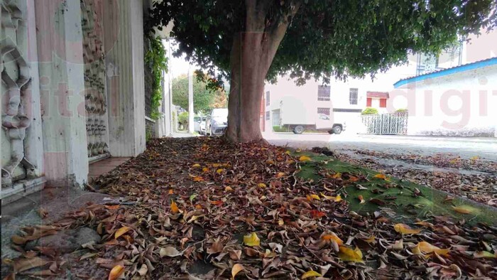 Por ignorancia, tres personas han enfermado de Dengue