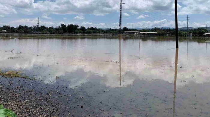 Por inundaciones, siguen suspendidos partidos en Canchas de Policía y Tránsito