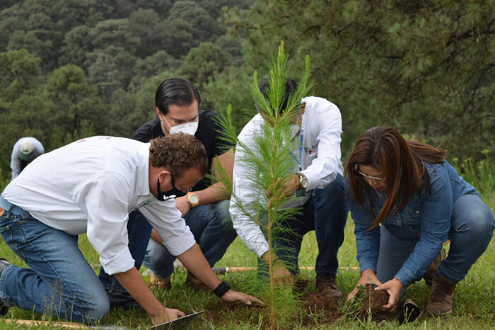 ¿Por qué no plantas un árbol fuera de tu casa en Morelia? Alfonso Martínez invita a hacerlo