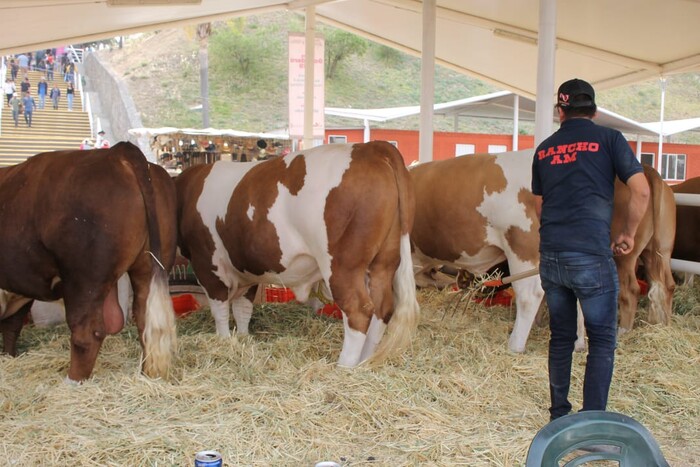 Por sequía, 10 mil ranchos han cerrado: Unión Ganadera de Michoacán