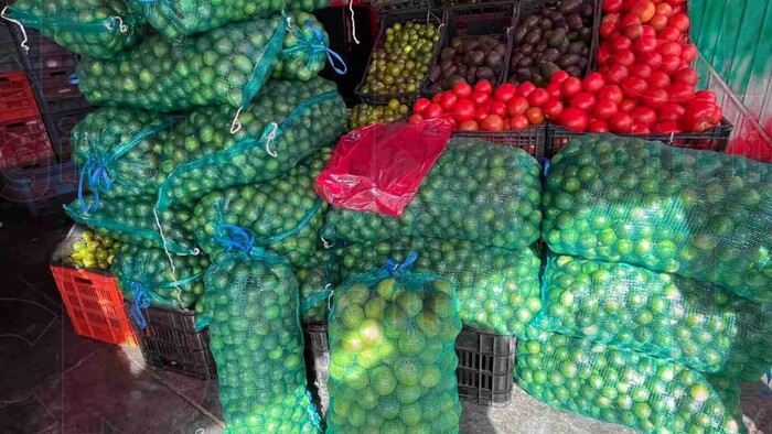 Precio del limón se desploma y aún así se registran bajas ventas de hasta un 50%