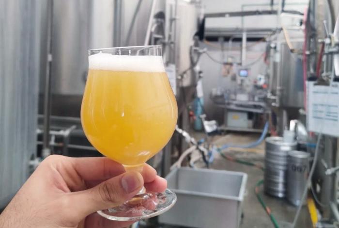 Prepárate para celebrar los 15 años del Festival Internacional de la Cerveza: Sectur