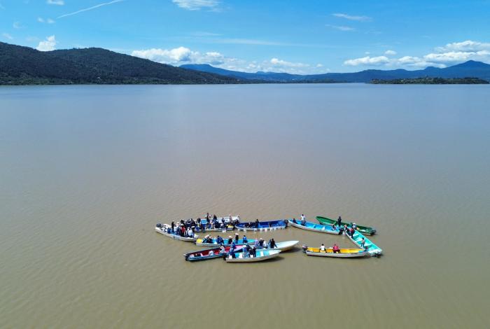 Programa de conservación del lago de Pátzcuaro alcanza los 60 mil peces liberados en el año