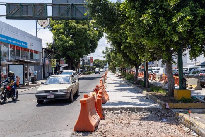 Proyecto Morebús impulsa reforestación urbana, próximo domingo