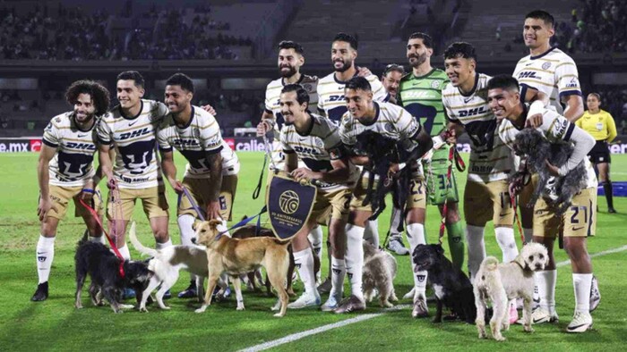 Pumas promueve la adopción de perros en CU con lomitos en la cancha