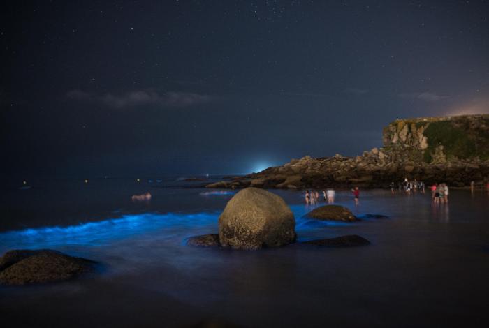 ¿Qué es el mar de ardora? El fenómeno que hace brillar las aguas de Galicia