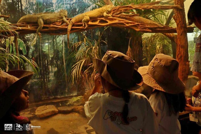 ¿Quieres ser explorador? Siguen abiertos los cursos de verano en el Zoo Morelia