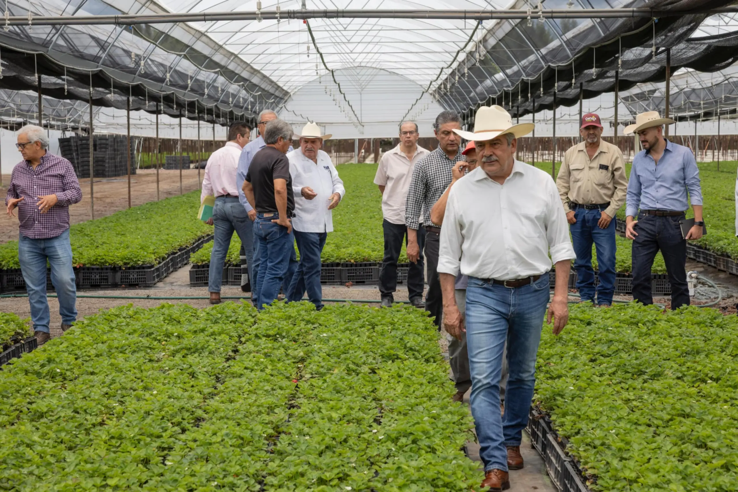 Raúl Morón, el aliado para potenciar el campo michoacano