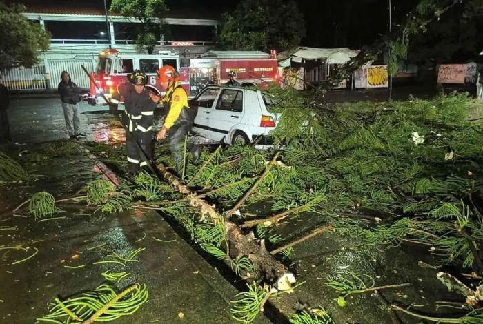 Árbol cae sobre auto en Morelia y deja pareja lesionada