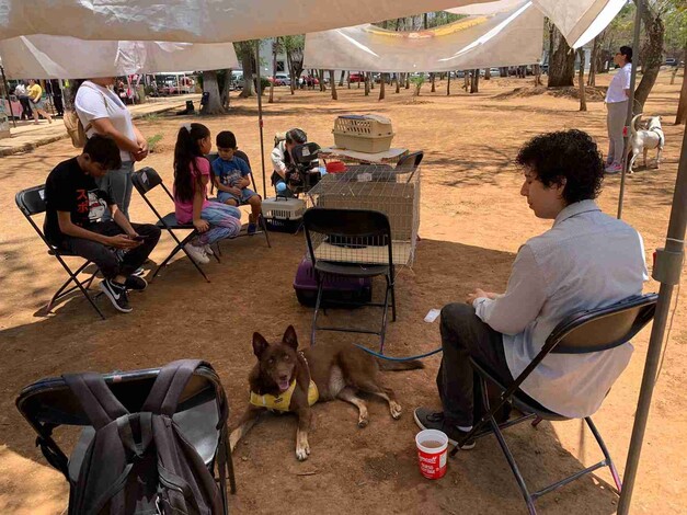 Realizan Feria de Adopción Meraki en el bosque Cuauhtémoc