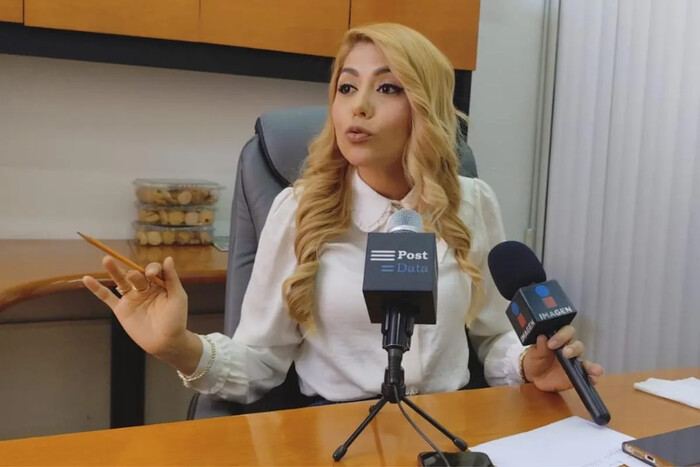 Reconoce Sandra Garibay parcialmente su voz en audio sobre registros para elección de Poder Judicial